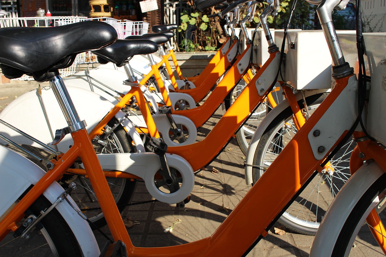 Hospice Care for Patients with Obsessive-Compulsive Disorder (OCD): 11xplay.com login, Lesar 247.com, Tiger 247 login