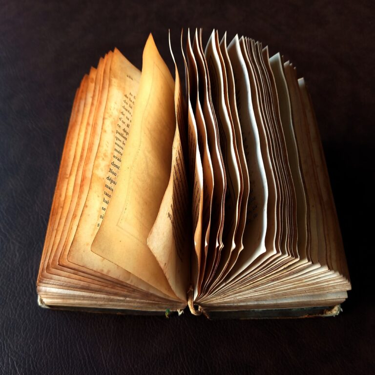 How to Use Online Bootcamps for Coding Training: Betbhai9 com sign up, Playexch, Gold365win