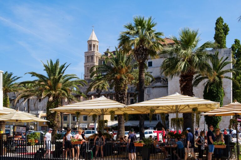 How to Shop for Eyewear with Special Lens Treatments: Bet bhai login, Radheexch, Lotus365