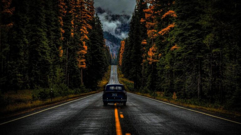 IoT Applications for Real-Time Monitoring in Automotive Logistics: Bet book 250.com, 11xplay online, Yolo 247 login