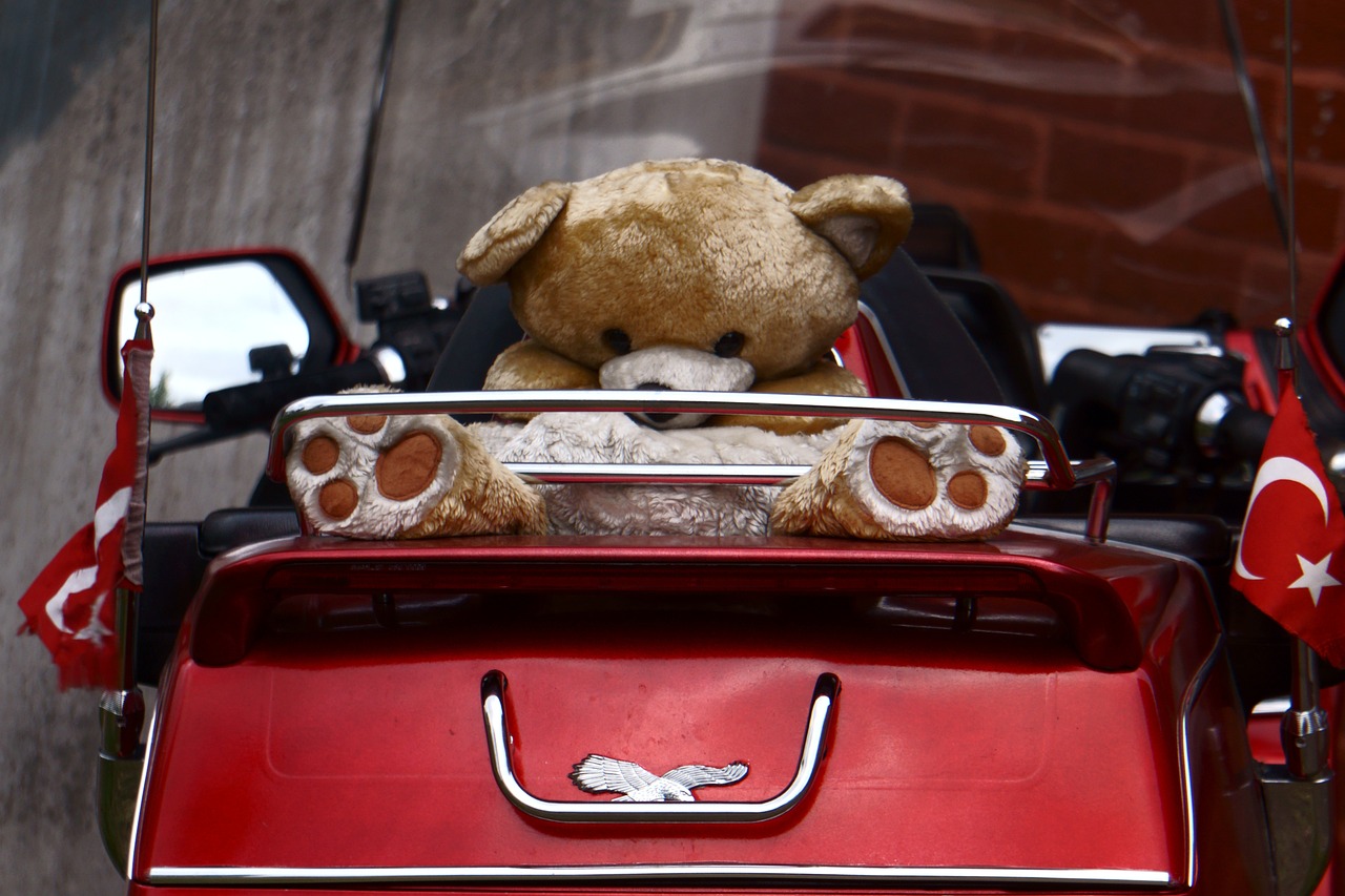 How to Shop for Eyewear with Special Features for Kids: Betbhai9 whatsapp number, Radhe exchange admin, Lotus365.win login