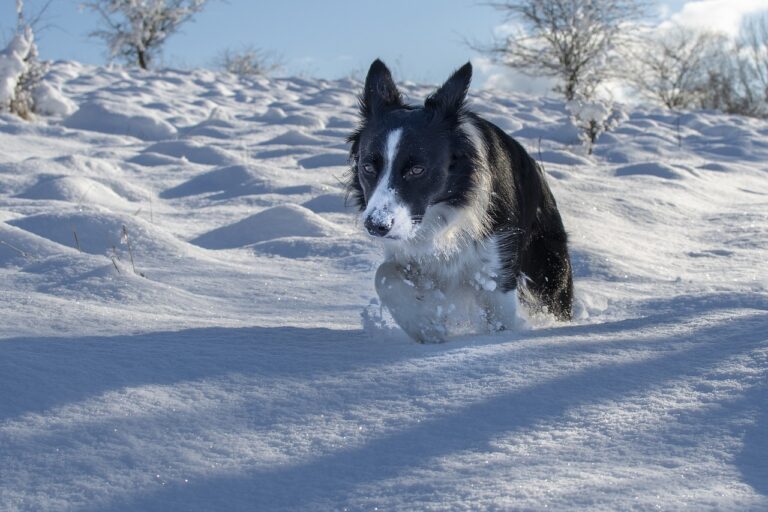 Exploring the Most Memorable TV Show Twist Endings