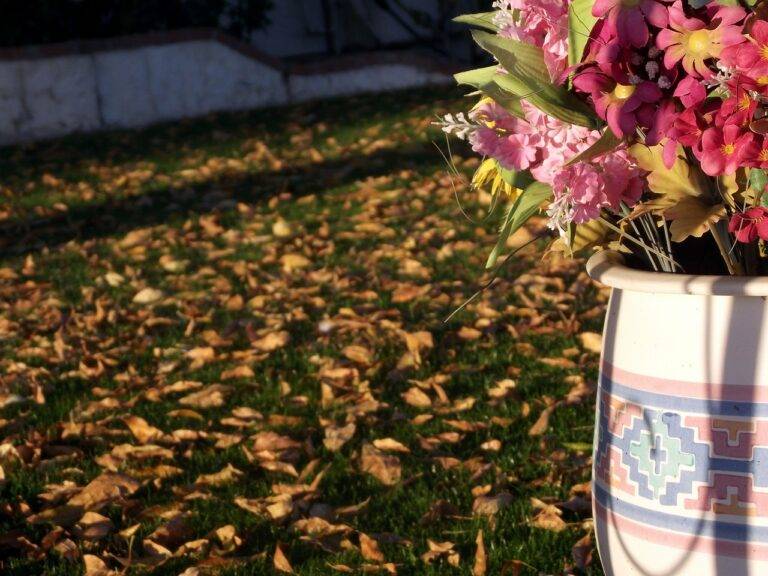 The Role of Political Fund Management in Campaign Accountability: 11xplay.com online, India 24 bet login, Skyinplay login