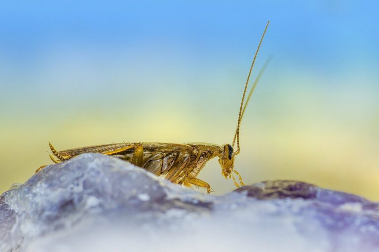 Bioinformatics in Personalized Cancer Therapy