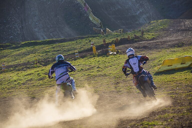 Cricket’s Representation in Virtual Reality Experiences