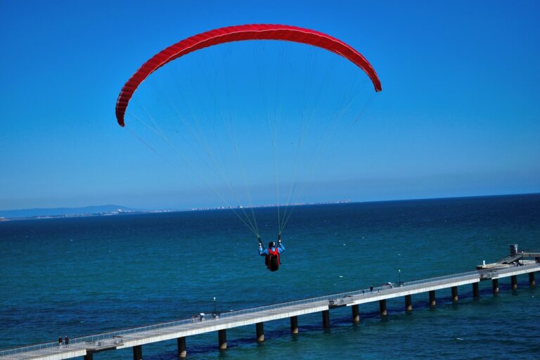 Hospice Care for Patients with Arthritis: 11xplay reddy login registration, Laser book 247, Skylive casino