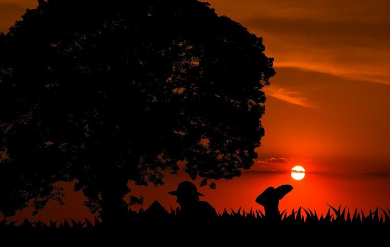 The Role of Continuing Education in the Technology Industry: Betbazar 247 login, Playexch in login, Gold365 id login