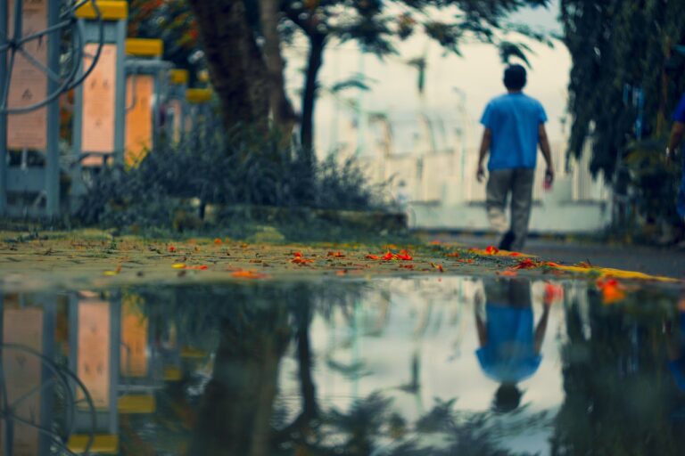 Biotechnology and the Future of Sustainable Packaging: Tigerexchange 247.com, Golden 77.com, Sky 99 exch com login