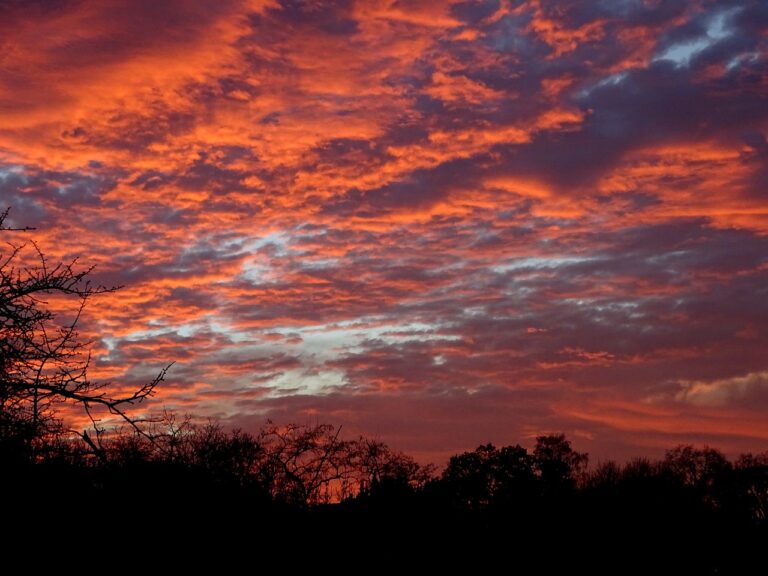 The Role of Social Media in Event Marketing: World 7.com, Mahadev book login id and password, Silver exchange demo id